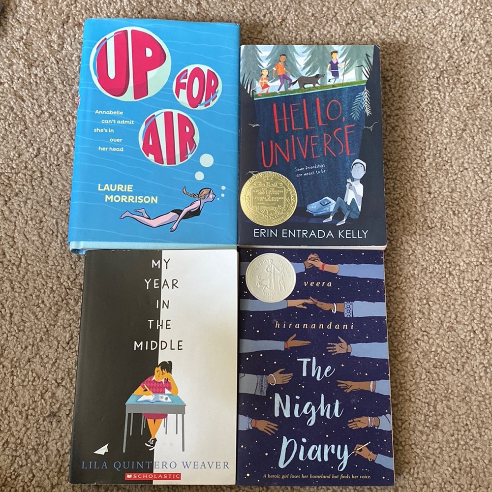 4 young adult chapter books